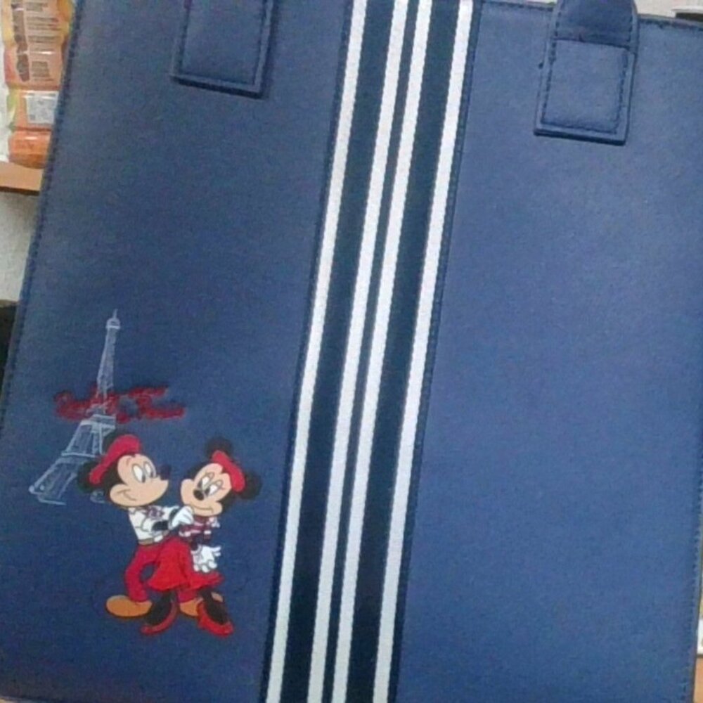 Original Disney World Purse